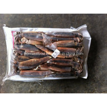 200-300g Hochwertiger gefrorener Illex Squid